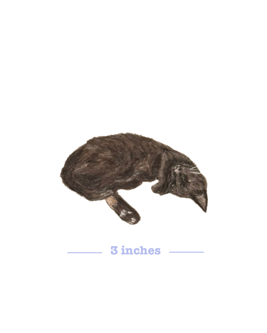 Mini Pet Portraits