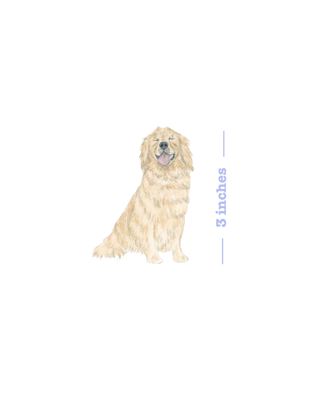 Mini Pet Portraits