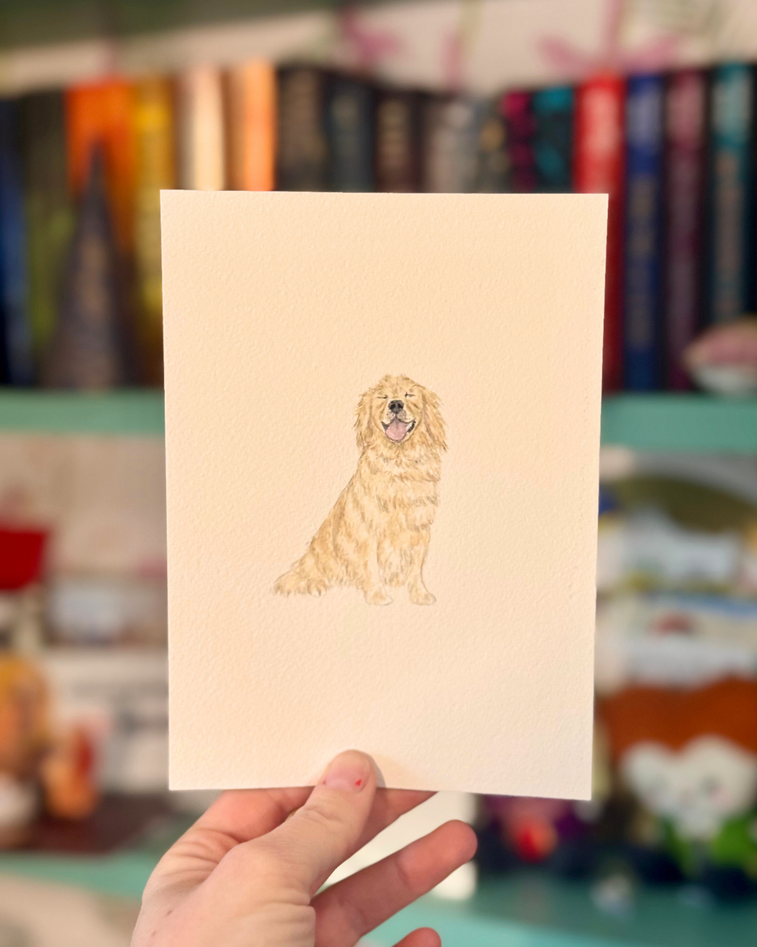 Mini Pet Portraits