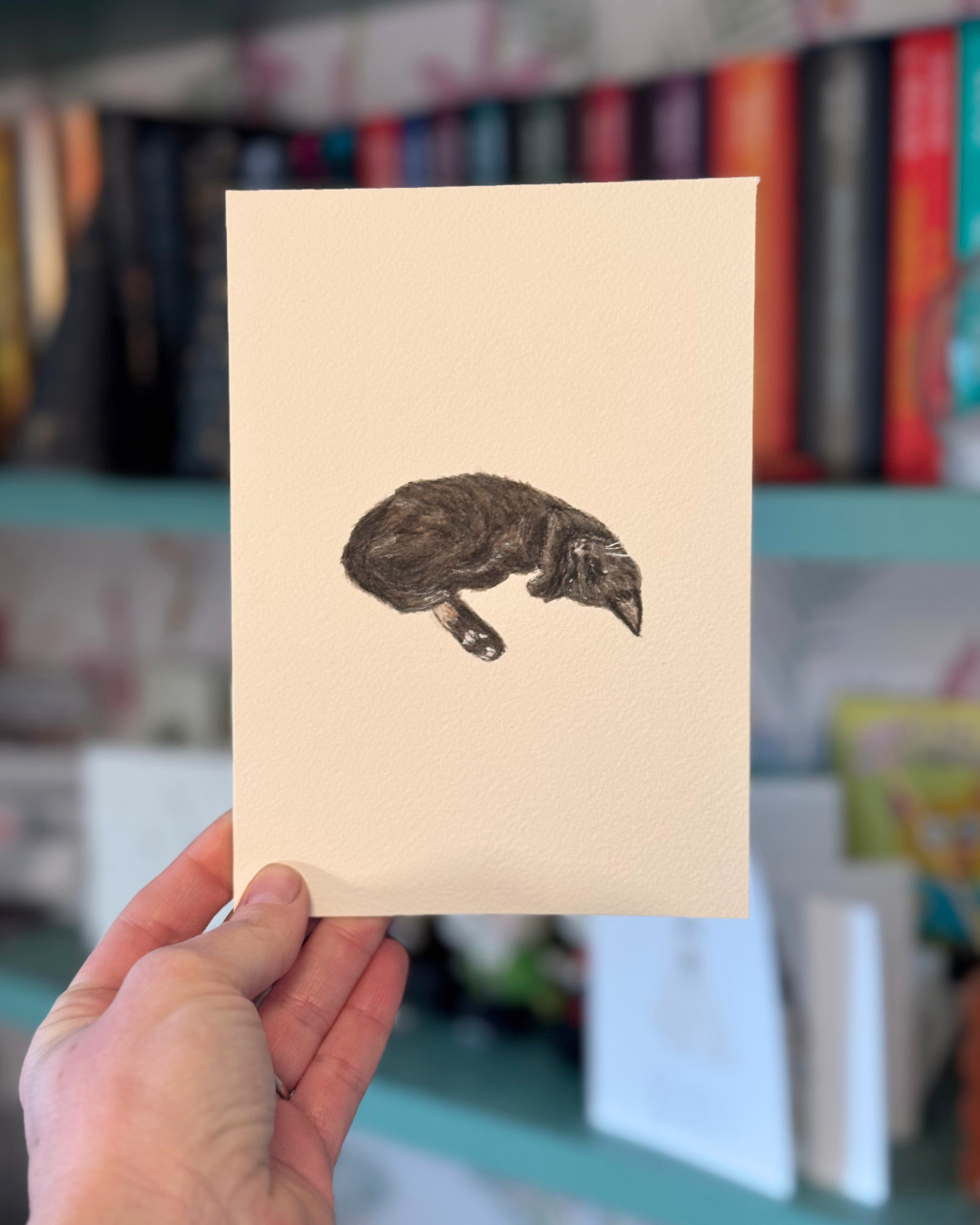 Mini Pet Portraits