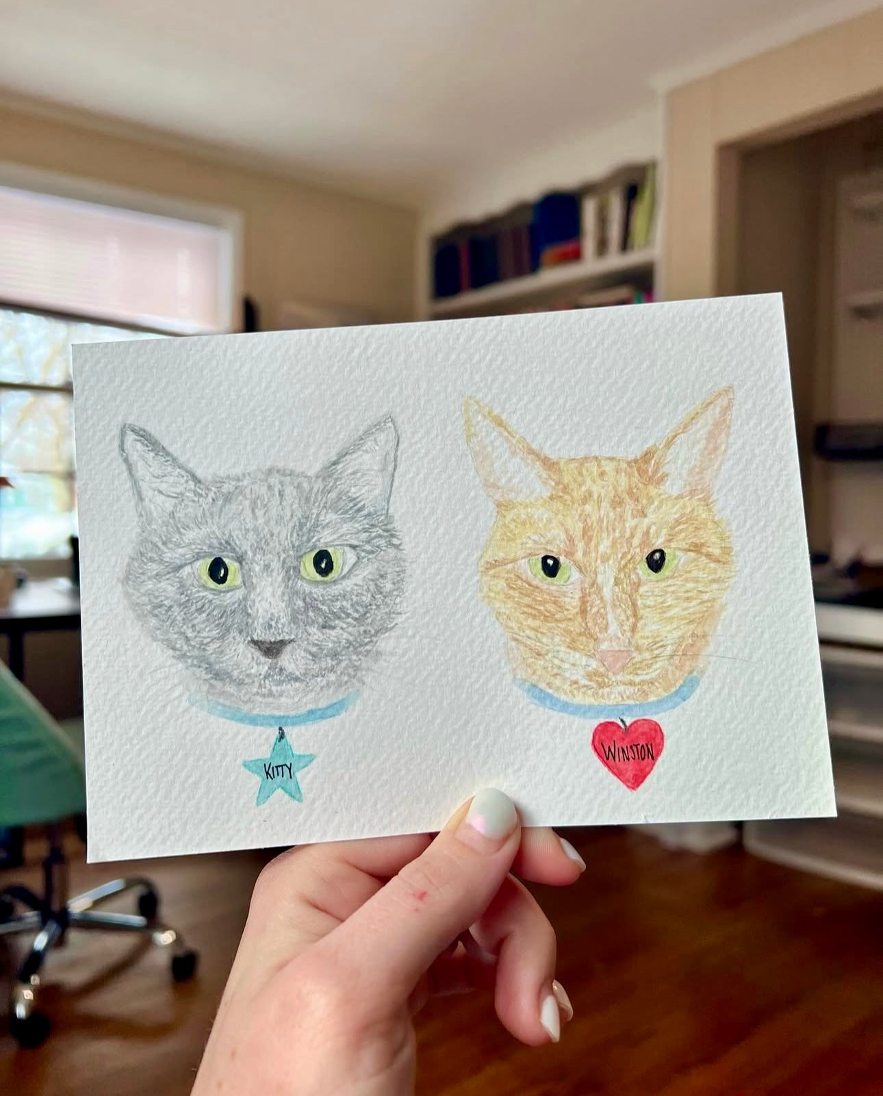 Pet Portraits