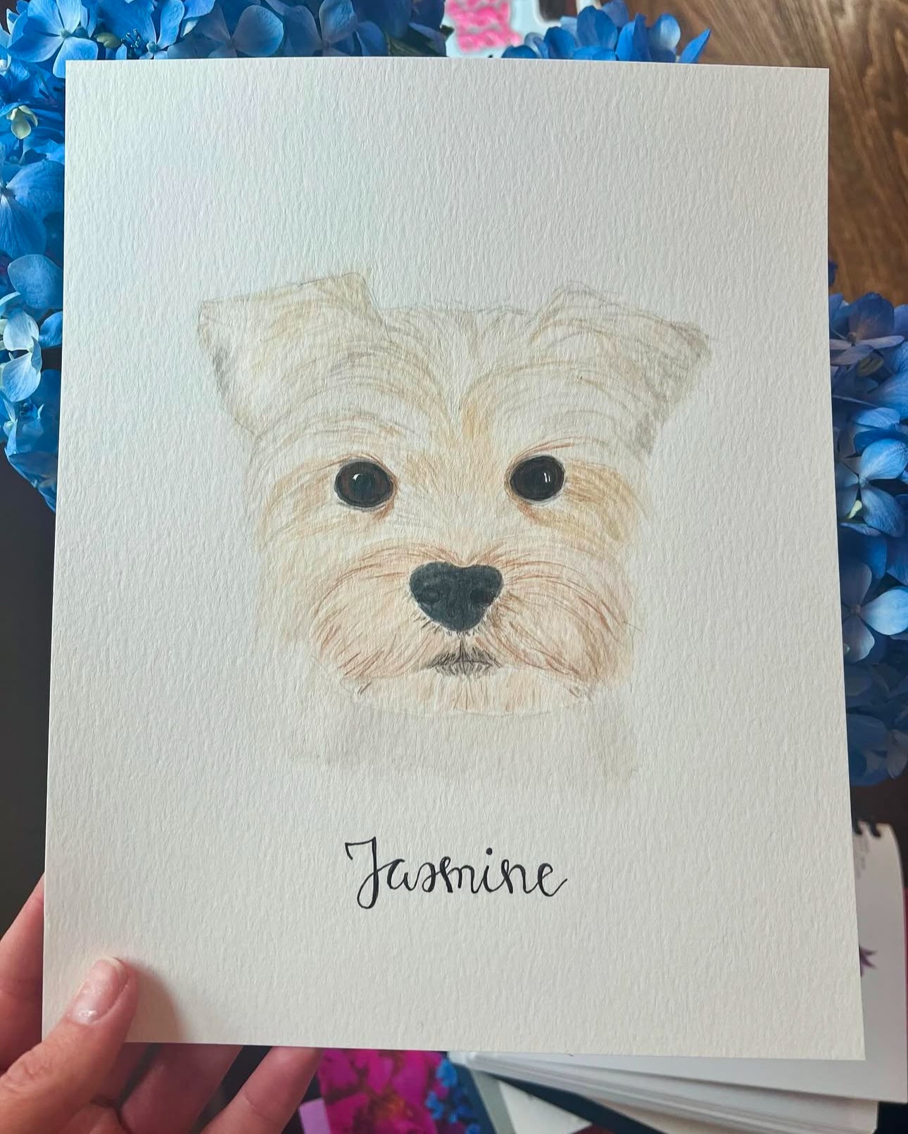 Pet Portraits