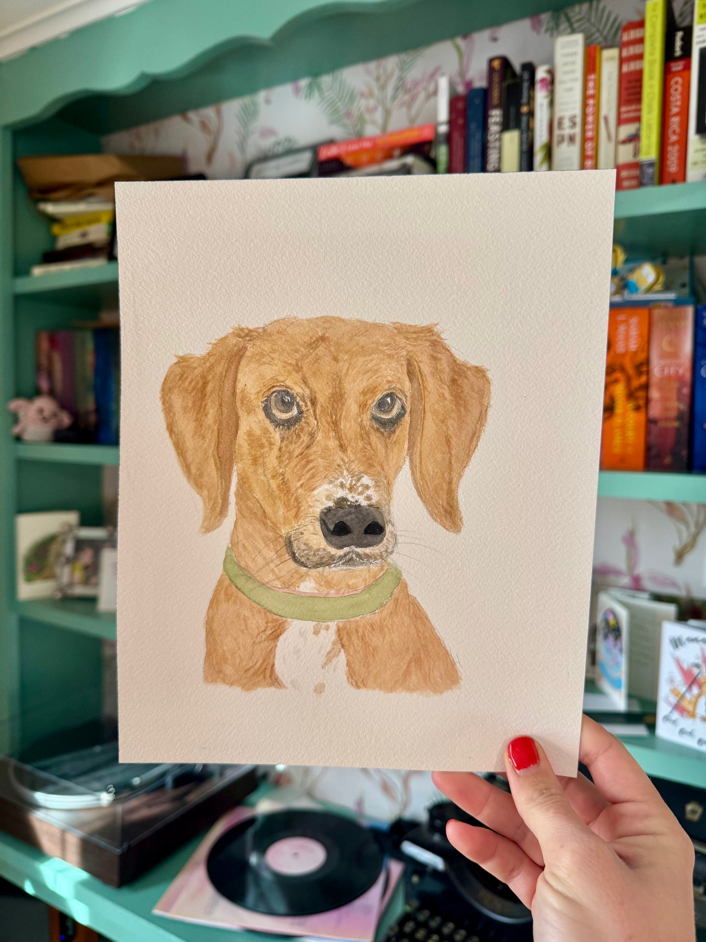 Pet Portraits