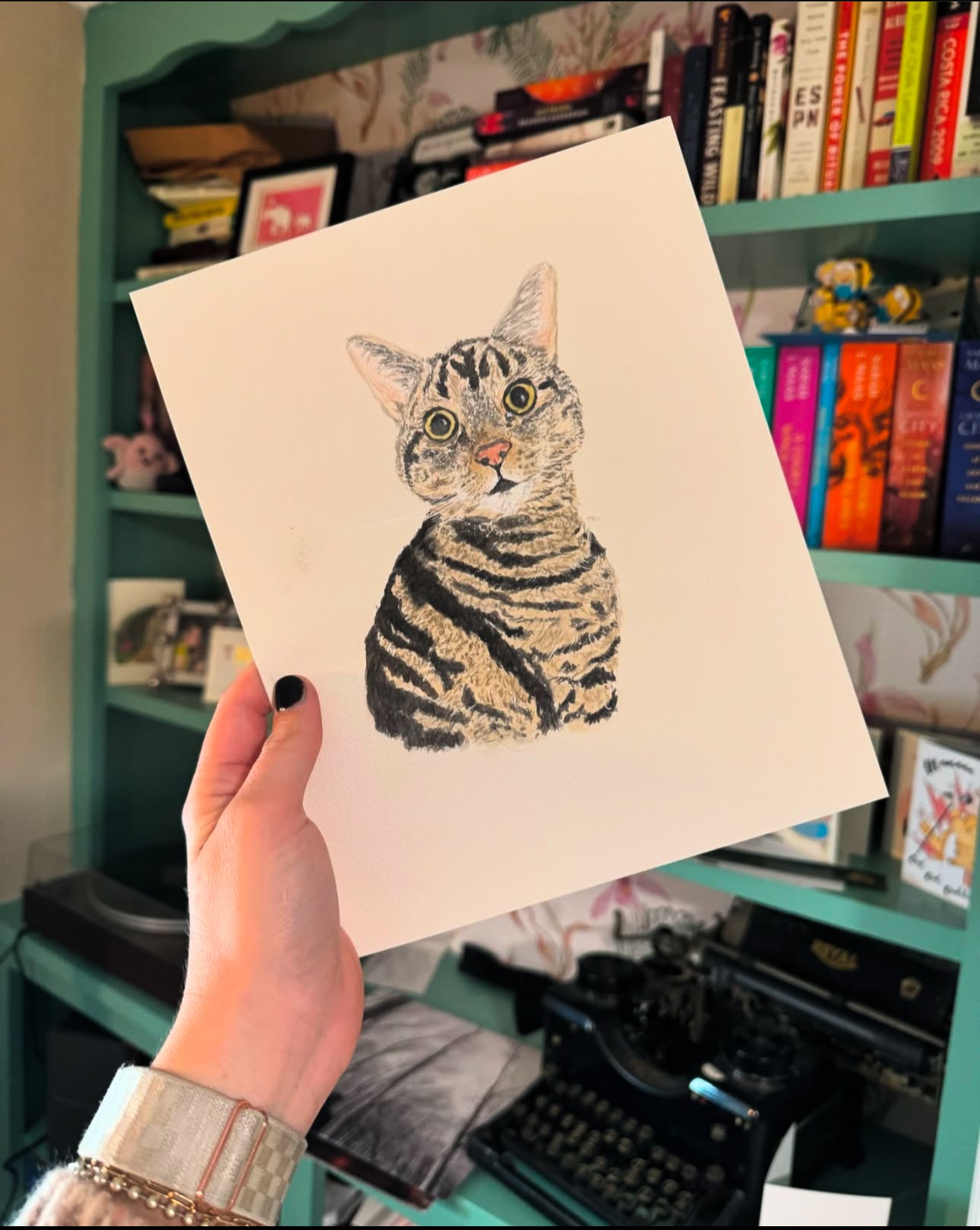 Pet Portraits