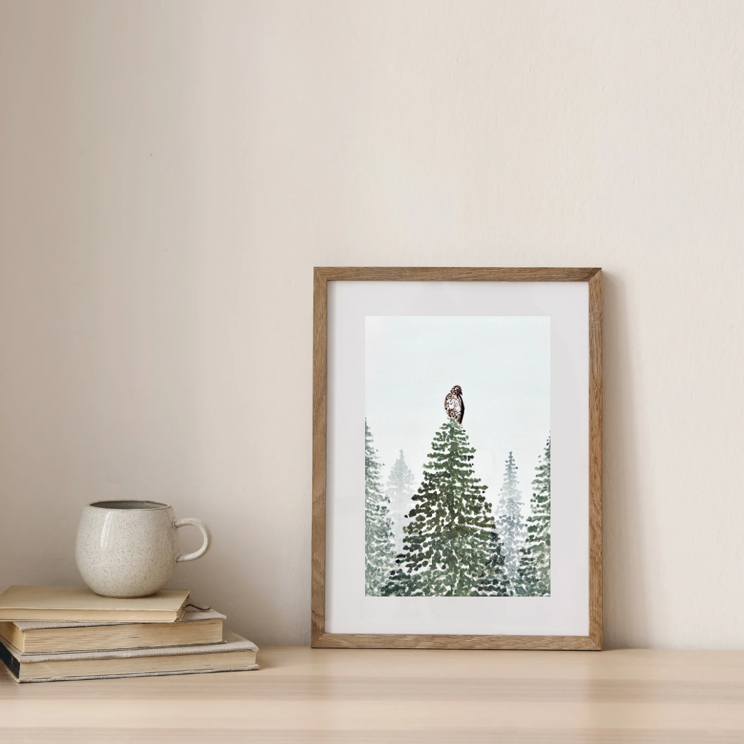 Backyard Hawk Art Print