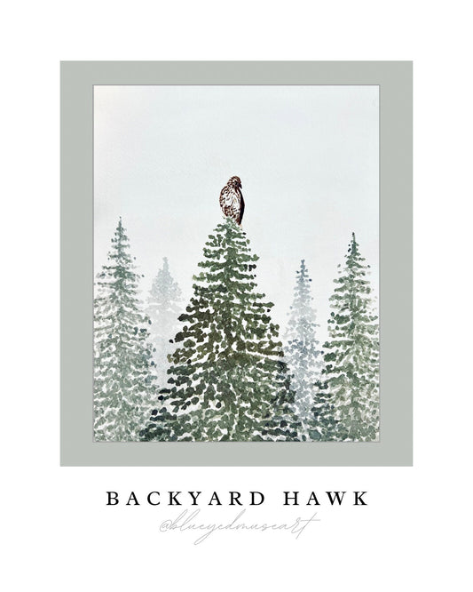 Backyard Hawk Art Print