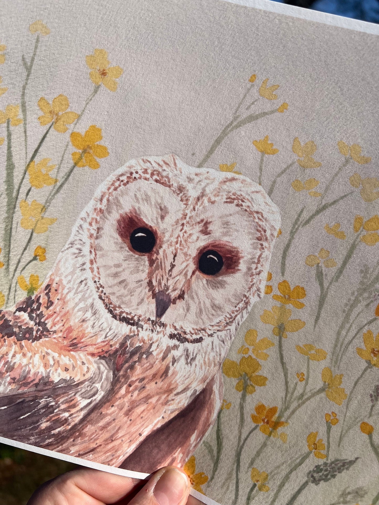 Buttercup Barn Owl Art Print