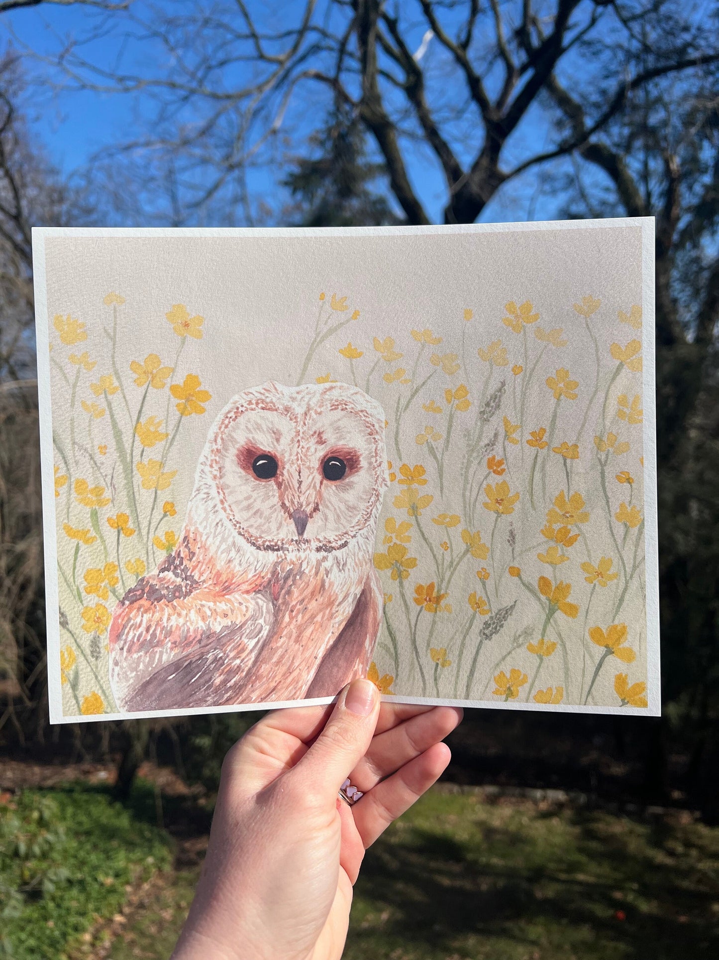 Buttercup Barn Owl Art Print