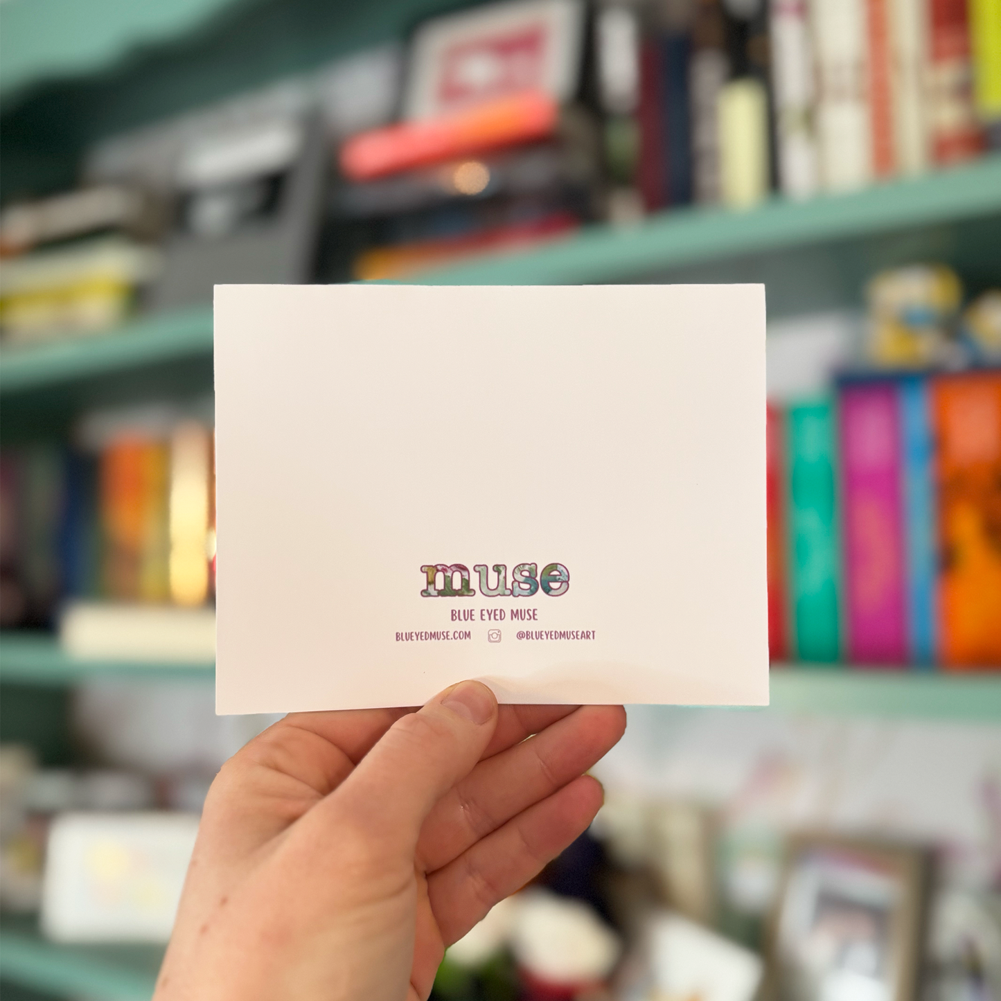 Anemone Notecard Pack