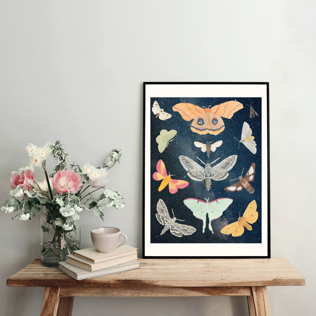 Moths of Pennsylvania Art Print
