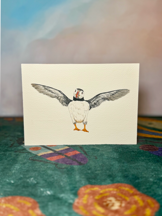 Puffins Collection