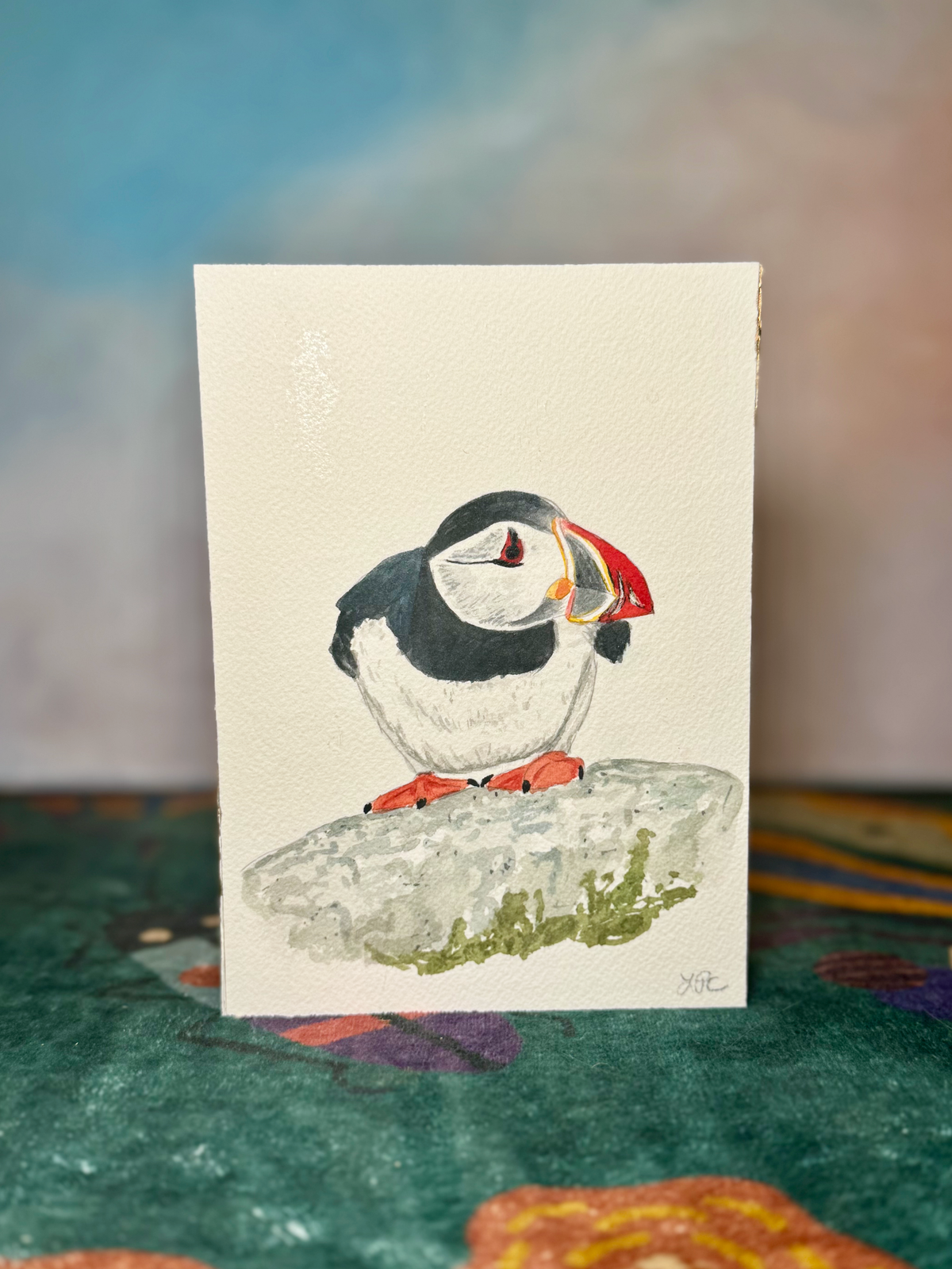 Puffins Collection