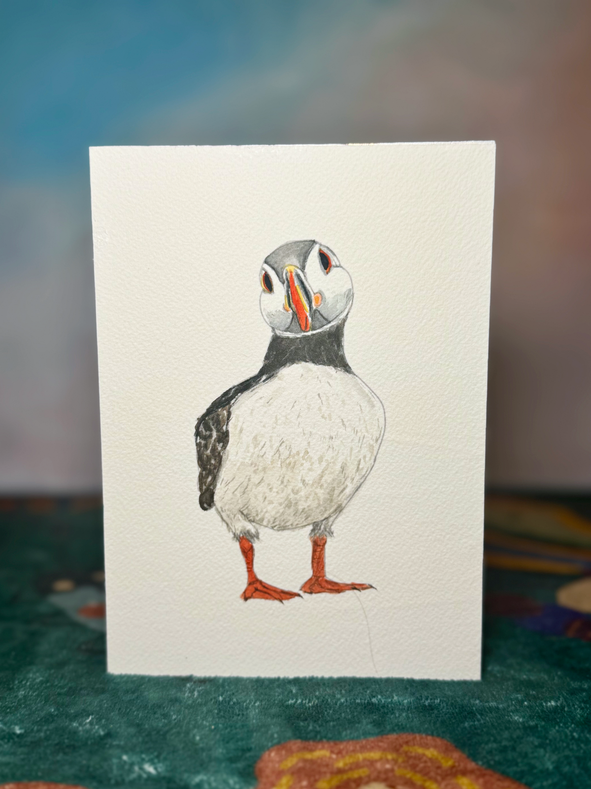Puffins Collection