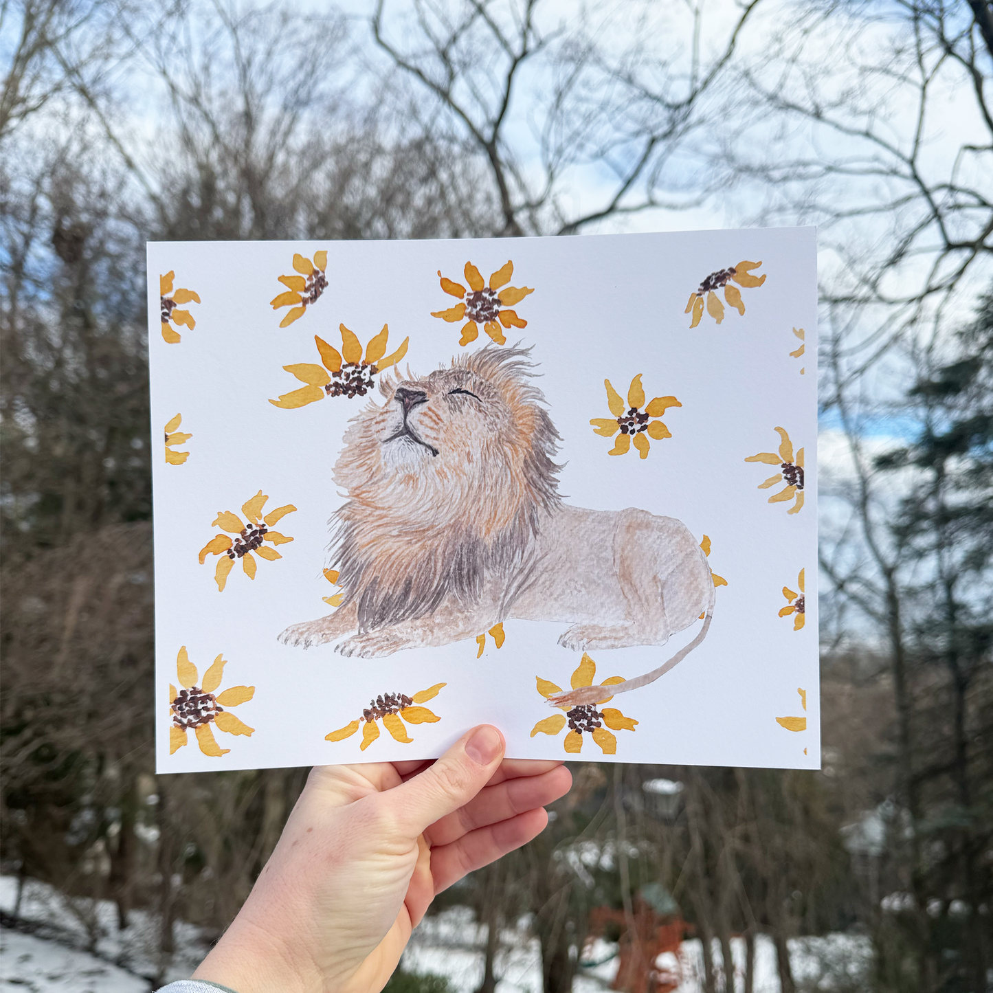 Sunning Lion Art Print